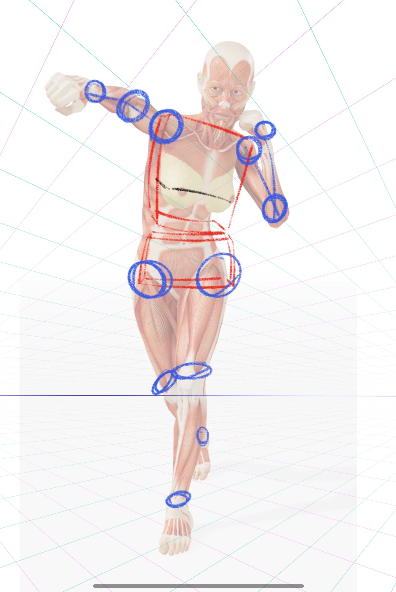 first step of drawing process