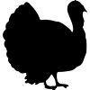 turkey-bird-shape-from-side-view